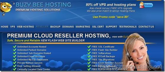 bzybhosting